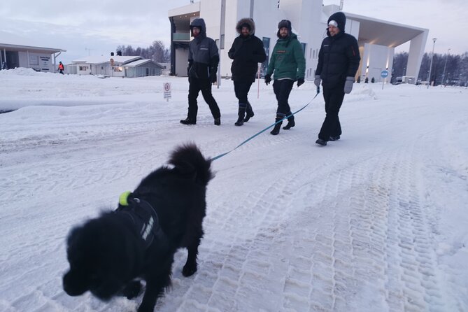 Icetrek to Old Kemi - What Walking on Sea Ice Feels Like (and What You Should Watch For)