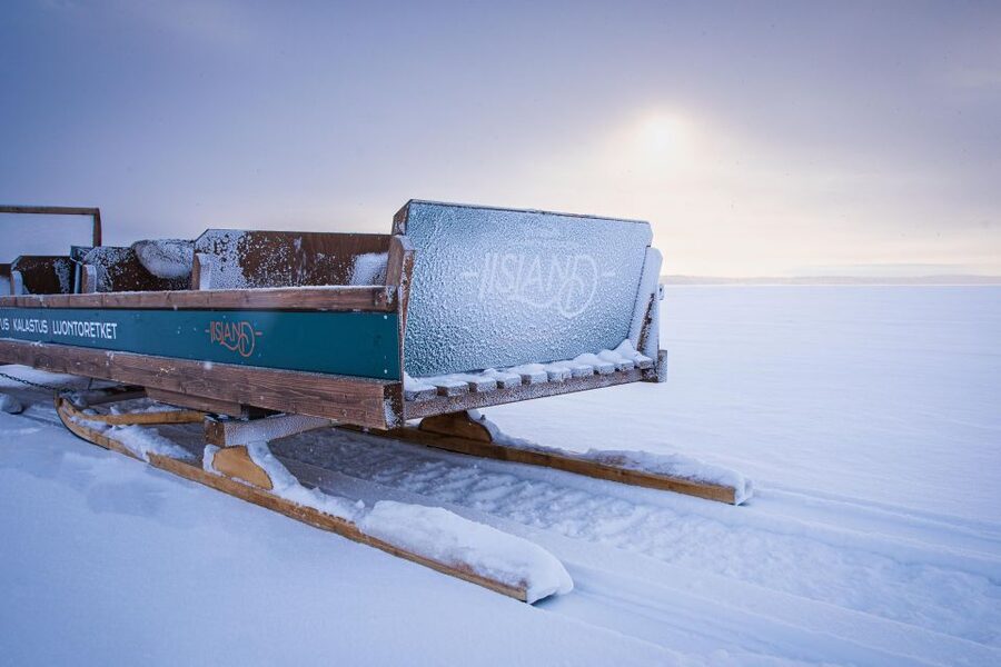 Ii: Snowmobile sleigh trip on frozen sea under starlit sky - Campfire warmth, hot drinks, and steady sky viewing