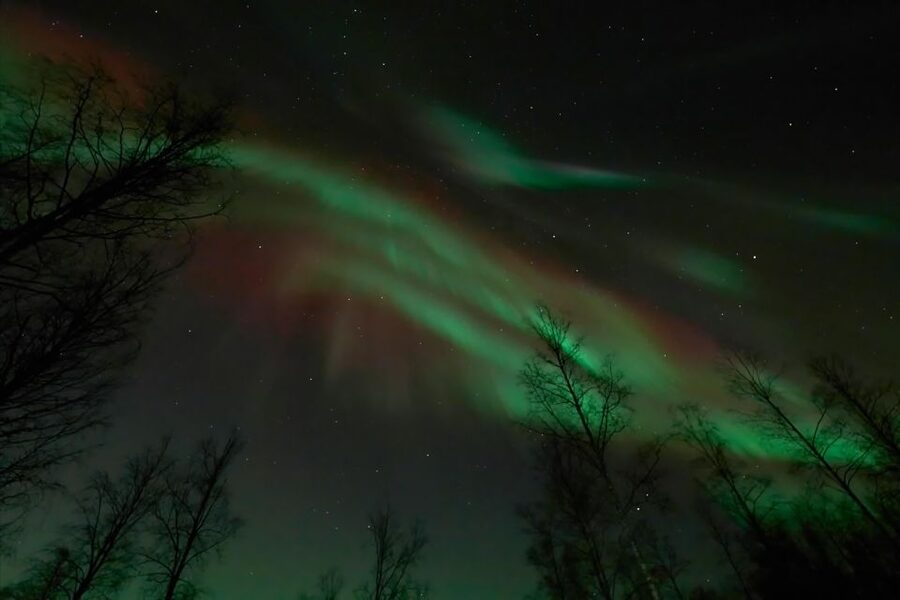 Ii: Snowmobile sleigh trip on frozen sea under starlit sky - Your 3-hour rhythm, snowmobile, sleigh, and real aurora patience