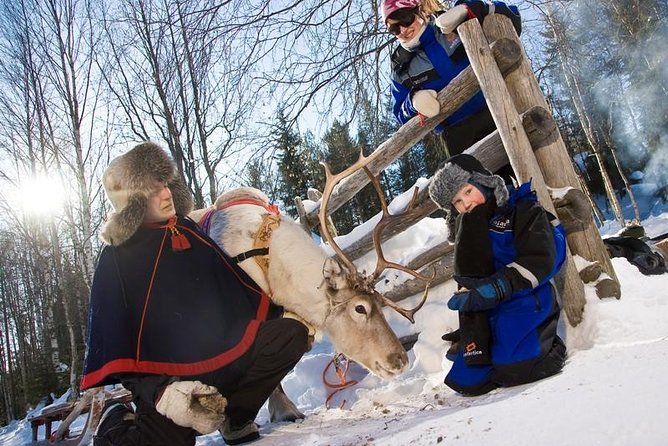 In Pursuit of Reindeer - Snowmobile safari to reindeer farm in Rovaniemi - Key Highlights You Actually Care About