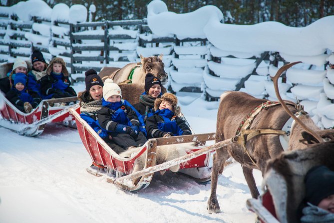 In Pursuit of Reindeer - Snowmobile safari to reindeer farm in Rovaniemi - The Snowmobile Safari: 1.5 to 2 Hours Through the Frozen Countryside