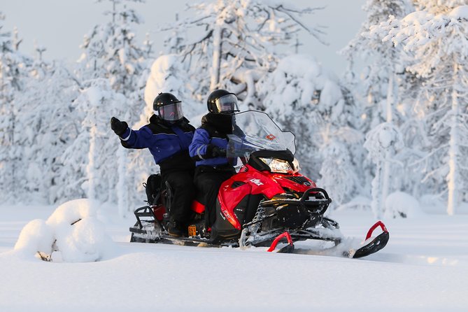 In Pursuit of Reindeer - Snowmobile safari to reindeer farm in Rovaniemi - Price and Value: What $232.93 Really Covers