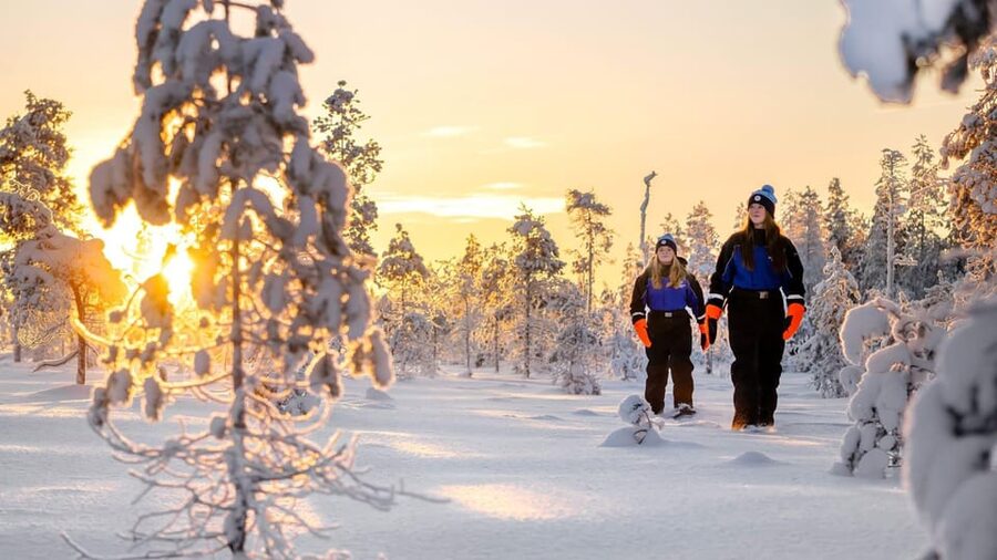 Kemi-Tornio: Nature tour with snowshoes - Snowshoes in Kemi-Tornio: Why This Works in Winter