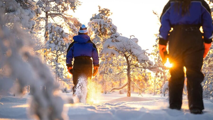 Kemi-Tornio: Nature tour with snowshoes - The Wildlife Learning Part, and How to Get More Out of It