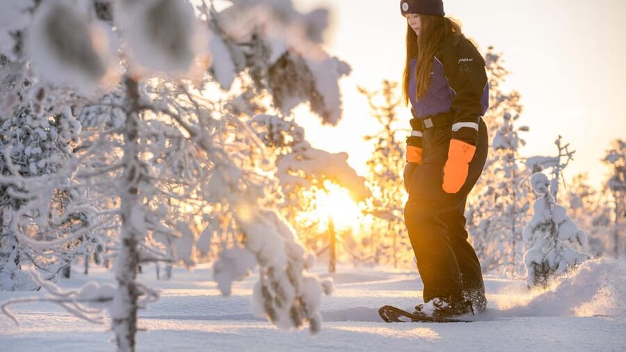 Kemi-Tornio: Nature tour with snowshoes - From Sea Lapland Safaris to the Snow Trail in 2.5 Hours