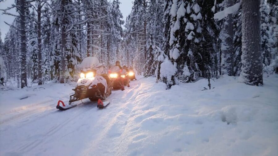 Kemi-Tornio: Snowmobile Forest Safari w/ Hot Drink & Snacks - Key points before you go