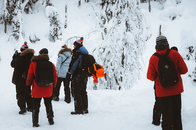 Korouoma Canyon Frozen Waterfalls - Price and value: is $175.43 actually fair for a winter half-day?