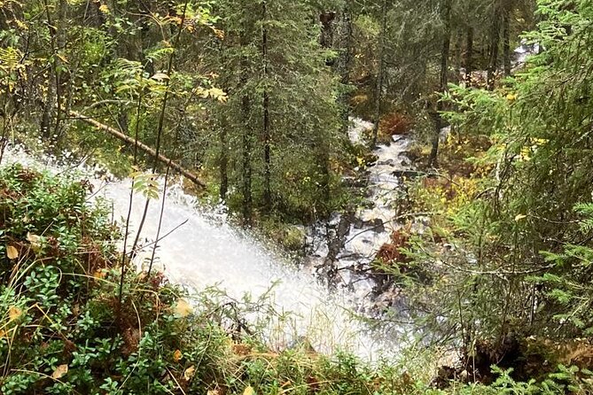 Korouoma Canyon: Frozen Waterfalls Hike & BBQ Experience - BBQ and warmth: the wood-fire break you will look forward to