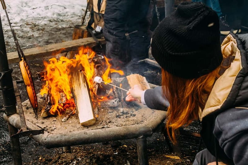 Korouoma Canyon: Frozen Waterfalls Hike & BBQ Experience - Who this Korouoma hike and BBQ fits best