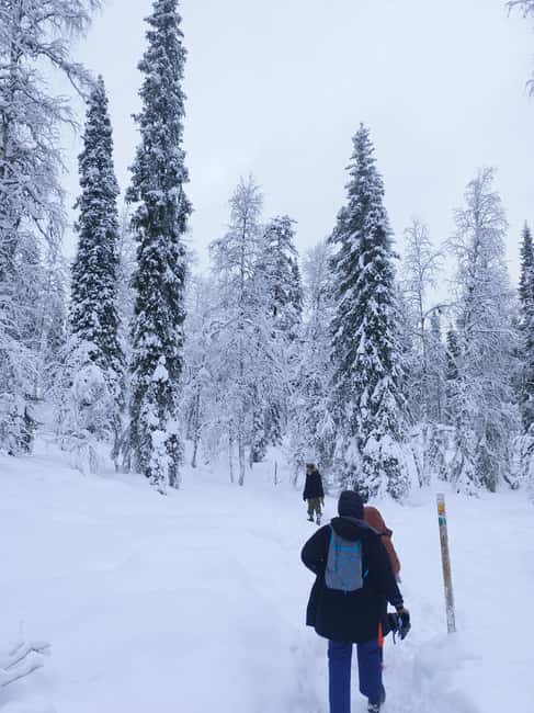 Korouoma Canyon Frozen Waterfalls Hike & Private Teepee BBQ - Why Korouoma Frozen Waterfalls Feel Different Than Typical Winter Views
