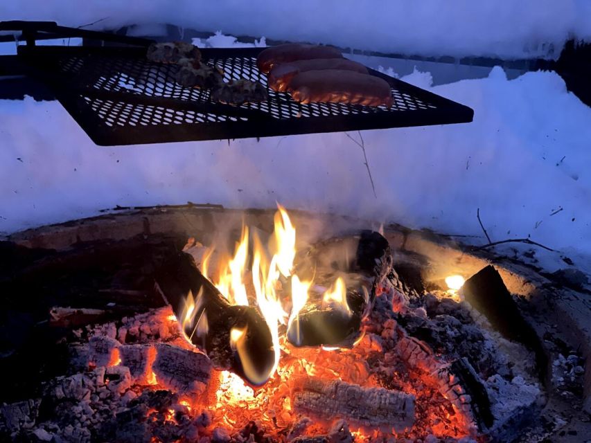 Korouoma Canyon Frozen Waterfalls Hike & Private Teepee BBQ - Who Should Book This, and Who Should Skip It