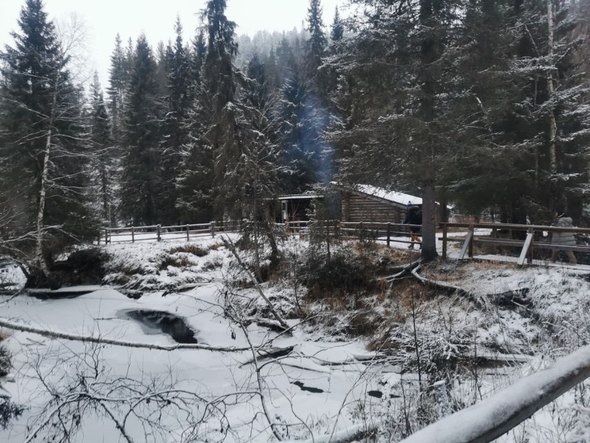 Korouoma Canyon Frozen Waterfalls Hike & Private Teepee BBQ - Getting From Rovaniemi, and Why the Ride Matters