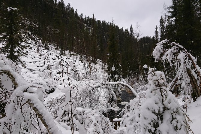 Korouoma Canyon & Ranua Zoo Tour - Korouoma Canyon: rugged 130-meter drama with guided hiking