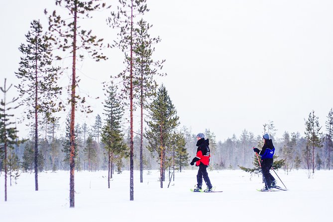 Korouoma Canyon Snowshoe Trip - Key Things That Make This Trip Worth Your Time