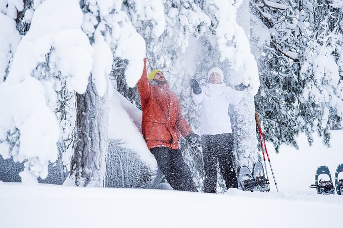 Korouoma Canyon Snowshoe Trip - English-led guiding, and how language support works