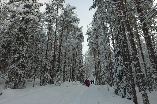 Korouoma national park and frozen waterfalls hiking tour - Korouoma Frozen Waterfalls: The winter scenery you came for