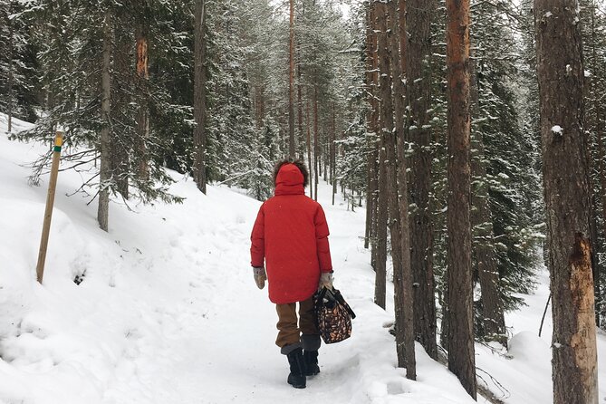 Korouoma national park and frozen waterfalls hiking tour - Price and value: what $162.40 buys you (and what it doesn’t)