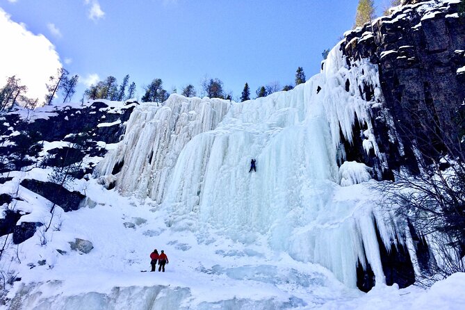 Korouoma National Park & Frozen Waterfalls - Wildlife in the valley: what you can look for in a guarded hike