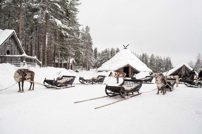 Kuoksa Reindeer Farm Visit with a Short Sleigh Ride - Kuoksa Reindeer Farm in Rovaniemi: what makes it worth your winter time