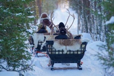 Kuoksa Reindeer Farm Visit with a Short Sleigh Ride