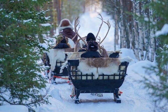 Kuoksa Reindeer Farm Visit with a Short Sleigh Ride - Inside the visit: learning the farm trade and why reindeer matter