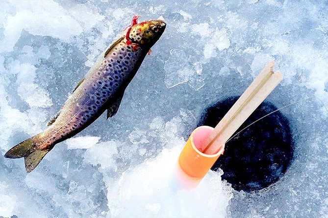 Lakeside Sauna Trip with Ice Fishing and Ice Swimming - What’s Included, What Costs Extra, and What You Should Bring