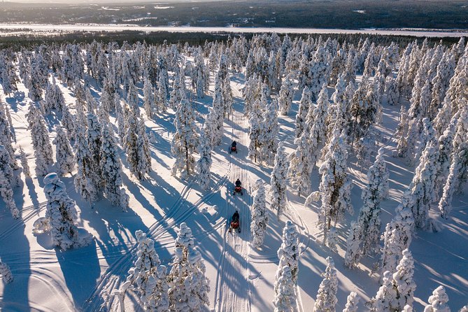 Lapland Family Snowmobile Safari from Rovaniemi - The flow of the ride: woods for adults, safe track time for kids