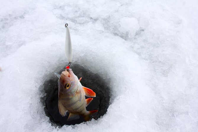 Lapland Ice Fishing Experience from Rovaniemi - How the Rovaniemi Pick-Up Works (and What to Plan For)