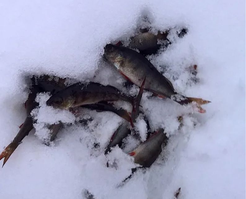 Lapland: Ice Fishing, Floating & BBQ Snow Adventure - Ice floating suits: safety, warmth, and the calm factor