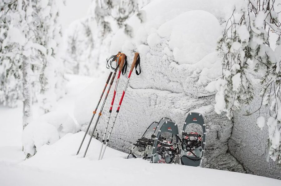 Lapland: Ice Fishing, Floating & BBQ Snow Adventure - Who should book this tour, and who might want something else