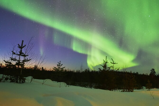 Lapland In A Day - Reindeer, Sledding, Snowmobile & Nature - Lantern-lit forest trail, then warmth by an open fire with Lappish snacks
