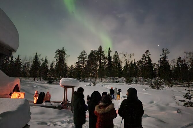 Lapland In A Day - Reindeer, Sledding, Snowmobile & Nature - Northern Lights checks when the sky cooperates, without the pressure