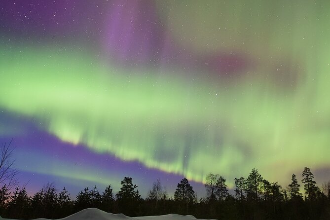 Lapland In A Day - Reindeer, Sledding, Snowmobile & Nature - Transportation, group size, and how to be comfortable in 5 to 6 hours