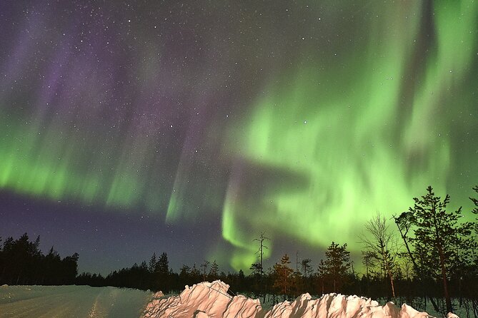 Lapland In A Day - Reindeer, Sledding, Snowmobile & Nature - Who should book Lapland In A Day, and who might want a different option