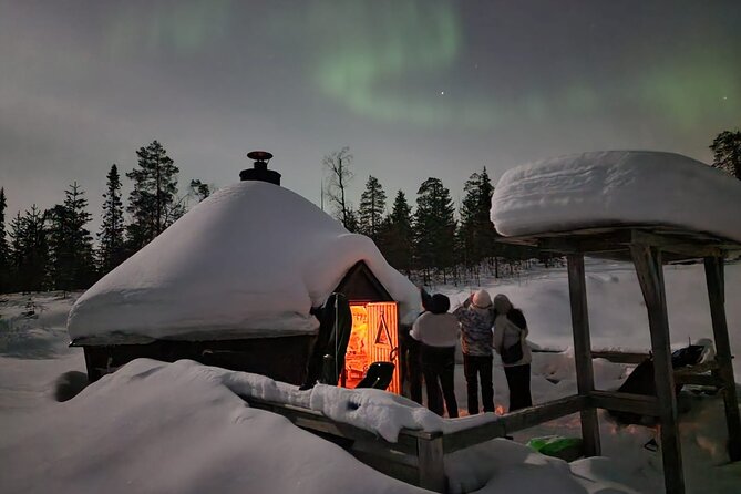 Lapland In A Day - Reindeer, Sledding, Snowmobile & Nature - Reindeer feeding in Vikajärvi, then gliding through snowy forest on a sled