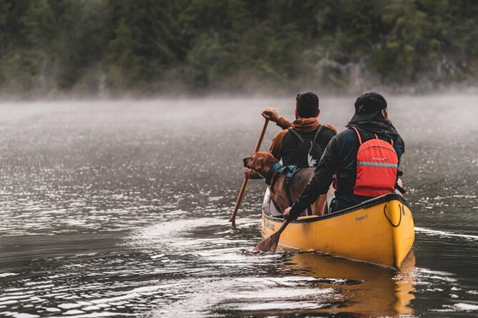 Lapland Kayak Adventure in Rovaniemi - Price and Value: What $120.41 Buys You in Real Terms
