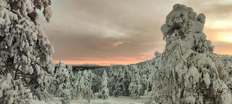 Lapland: Private Snowmobile Safari with arctic Local Guide - Private snowmobile in Luosto: why this setup beats the big-group style