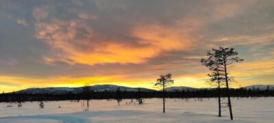 Private Snowmobile Safari with arctic Local Guide