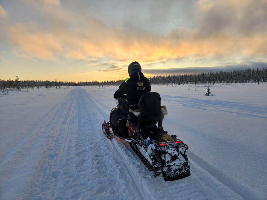 Lapland: Private Snowmobile Safari with arctic Local Guide - Getting the best time slot: daylight fun versus evening northern lights odds