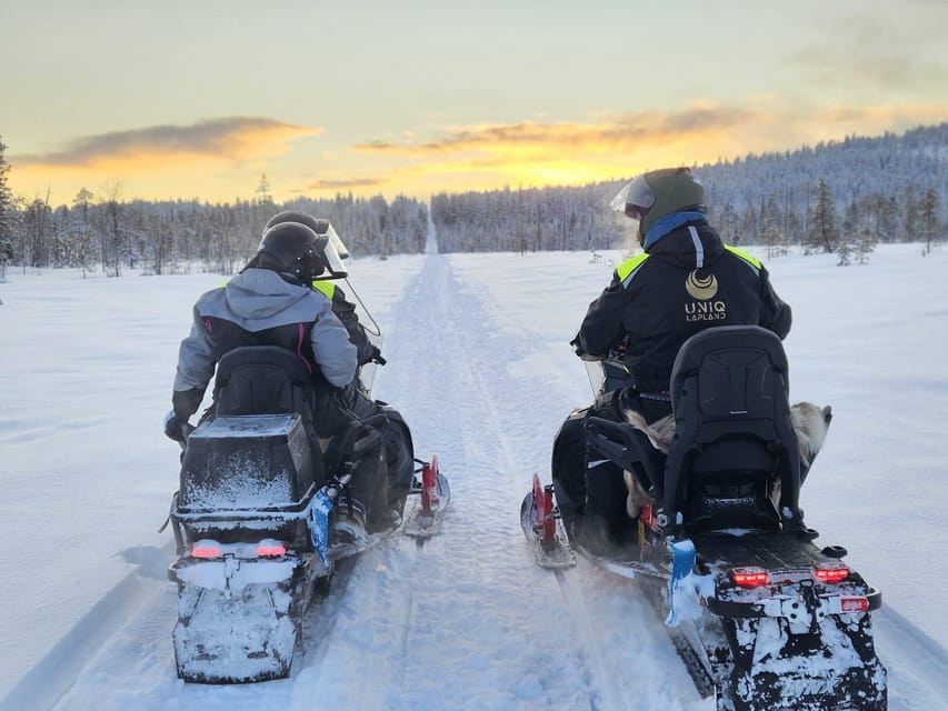 Lapland: Private Snowmobile Safari with arctic Local Guide - Who this tour suits best (and who should skip it)
