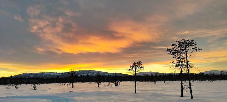 Lapland: Private Snowmobile Safari with arctic Local Guide - The itinerary in real life: pickup, 2.5 hours on snow, then back to Luosto