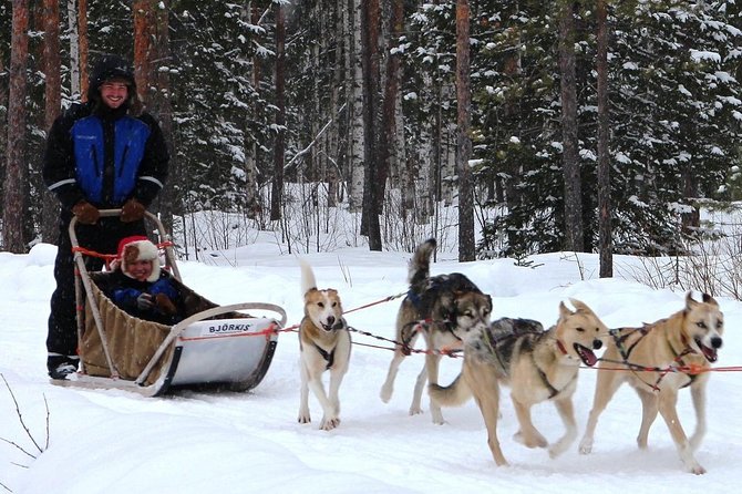 Lapland Reindeer and Husky Safari from Rovaniemi - Winter Logistics You Should Plan For (Because the Cold Is the Real Villain)