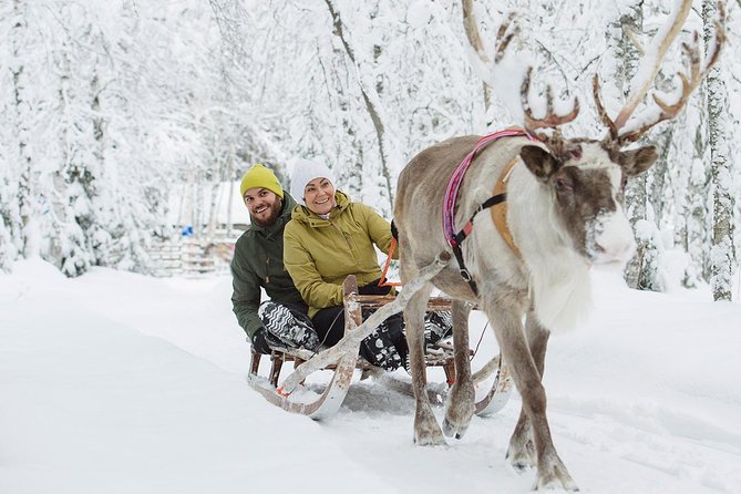 Lapland Reindeer and Husky Safari from Rovaniemi - Price and Value: Is $246.41 a Good Deal for This Combo?