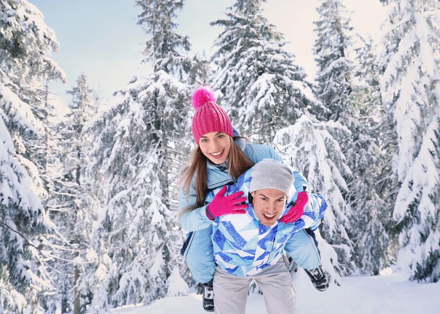 Lapland: The Frozen Waterfalls of Korouoma Tour - Key points to know before you go