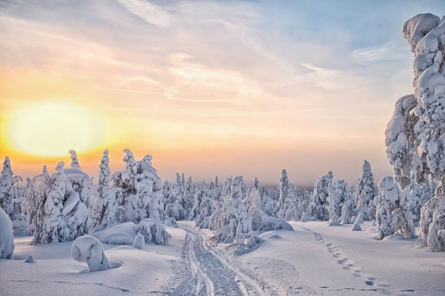 Lapland: The Frozen Waterfalls of Korouoma Tour - The walk through Arctic forests: where the real magic happens