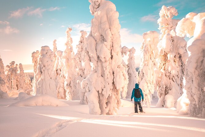 Lapland Winter Experience - Key things to know before you go