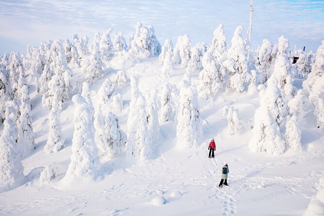 Lapland Winter Experience - Group size, meeting your guide, and how to get the best day