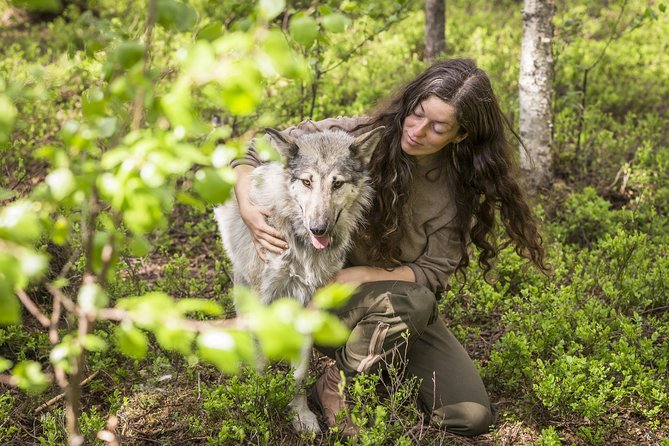 Meet Taivas & the Arctic Wolves - Private Tour - Taivas & the Arctic Wolves: What Makes This Sanctuary Visit Feel Different