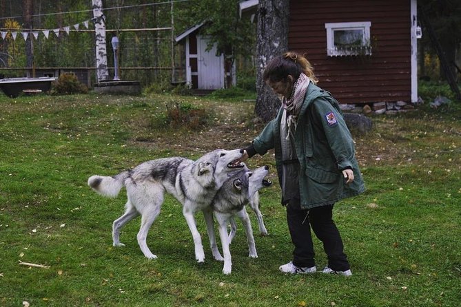 Meet Taivas & the Arctic Wolves - Private Tour - Getting There From Rovaniemi: The Part That Can Surprise You