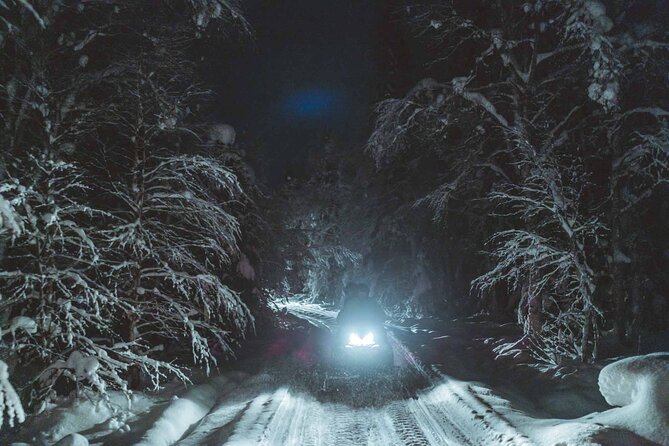 Night Snowmobile Safari, Rovaniemi - Thermal Gear and the Bonfire Break That Saves Your Night